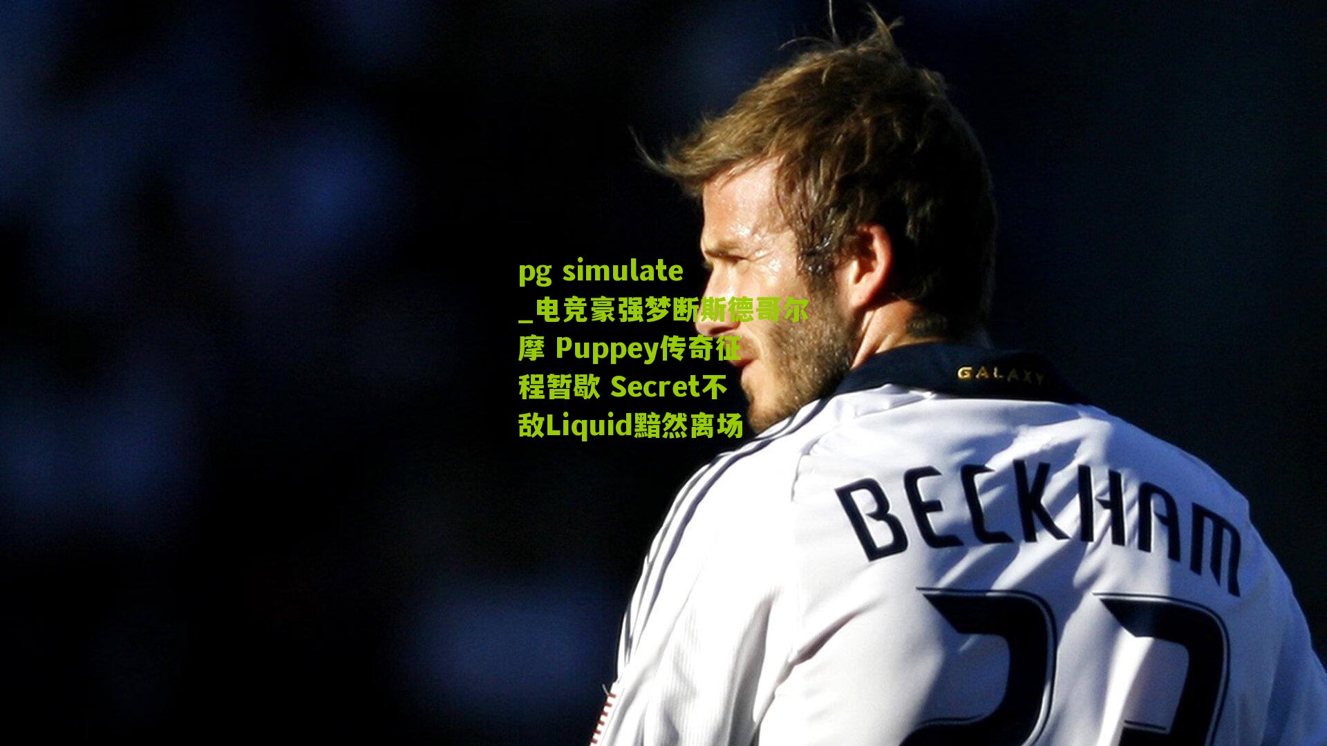 电竞豪强梦断斯德哥尔摩 Puppey传奇征程暂歇 Secret不敌Liquid黯然离场