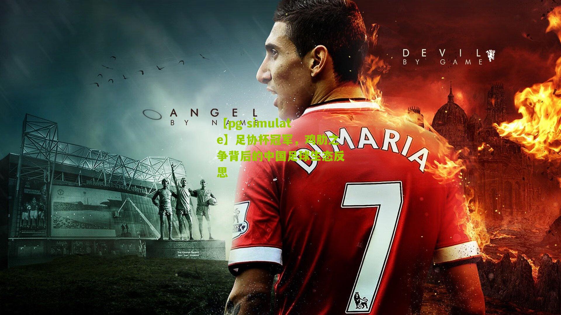 足协杯冠军，鸡肋之争背后的中国足球生态反思