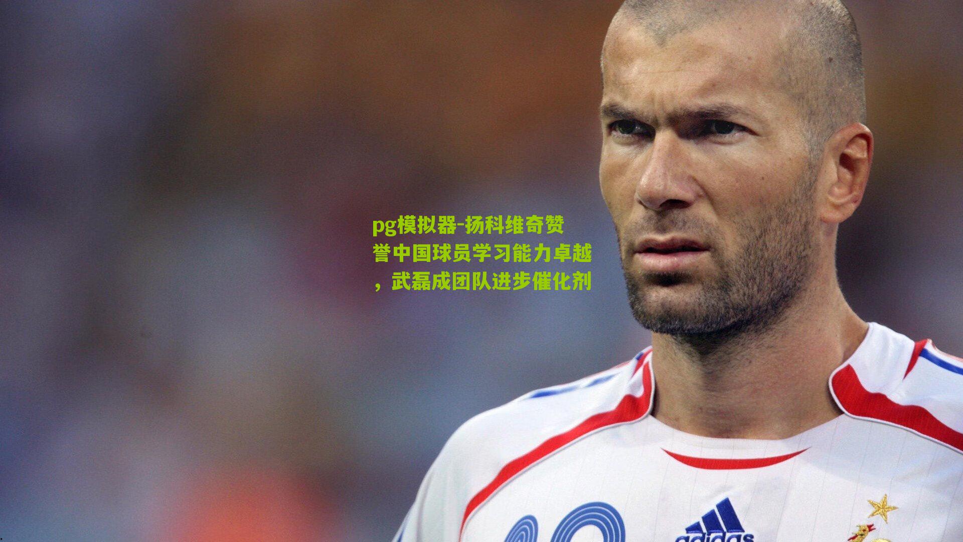 扬科维奇赞誉中国球员学习能力卓越，武磊成团队进步催化剂