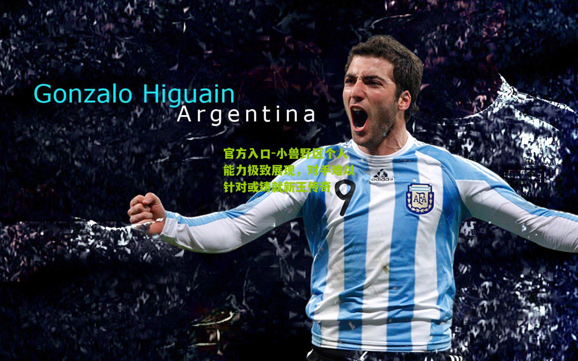 小兽野区个人能力极致展现，对手难以针对或铸就新王传奇